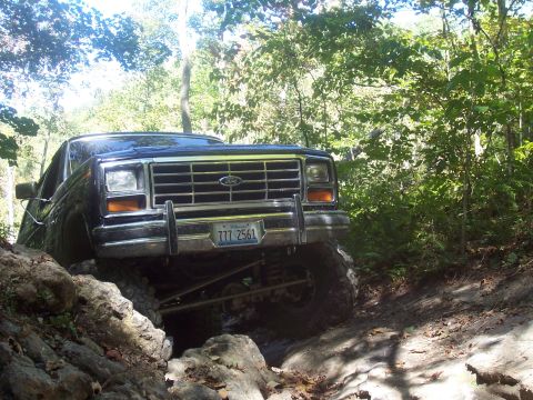 1986 Ford Bronco - This Ford Bronco is shown on a challenging off-road path with dense foliage surrounding it.