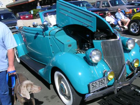 1996 Ford Probe - A turquoise 1936 convertible is displayed with its hood open at a car show. A dog is on a leash in the foreground.
