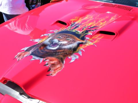 1996 Ford Probe - A vibrant pink car hood features an airbrushed graphic of a tiger with flames, appearing to rip through the metal.
