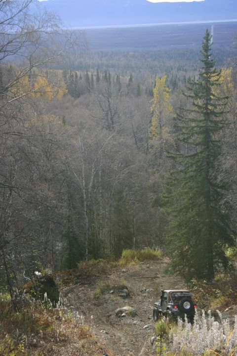 2003 Jeep TJ - A Jeep Wrangler navigates a rough dirt path surrounded by autumn foliage and dense forest.