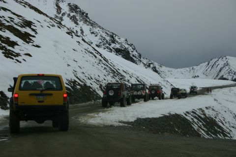 2003 Jeep TJ - all lined up