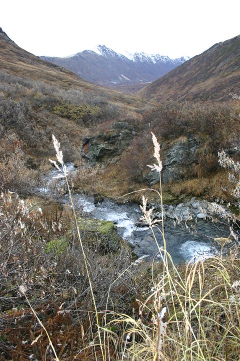 2003 Jeep TJ - A flowing stream winds through a valley with dry brush and snow-dusted mountains in the background.