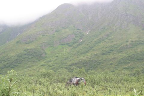 2003 Jeep TJ - A lone red SUV is parked amidst dense green foliage, with misty mountains looming behind.