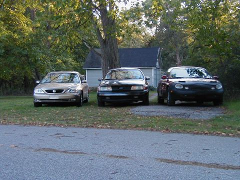 1990 Ford Taurus - A black 1990 Ford Taurus is parked between a tan sedan and a red car with a car bra.