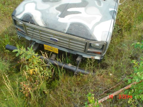 1986 Ford F-150 photo