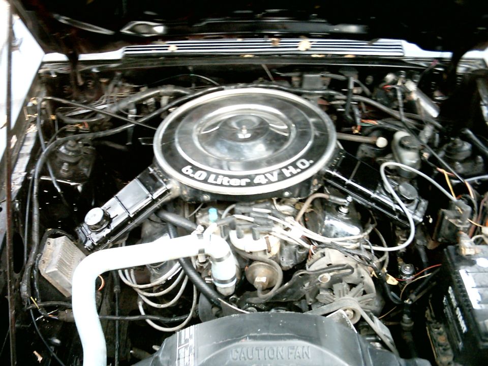 This is a '79 351 Windsor bored 0.040.