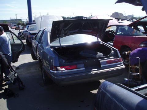 1986 Ford Thunderbird photo