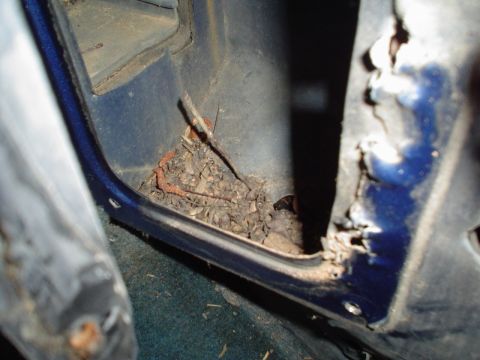 1984 Ford Bronco - Debris and nesting material are visible in the footwell of a blue vehicle, suggesting a need for interior cleaning or repair.
