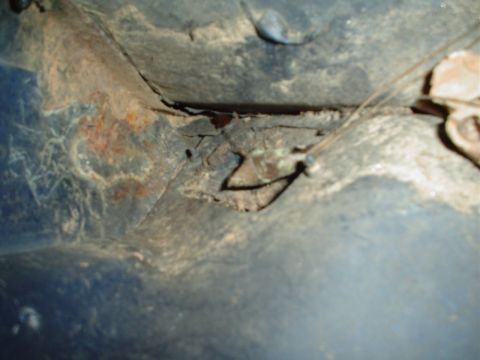 1984 Ford Bronco - The interior panel shows significant rust and damage, indicating a need for repair.