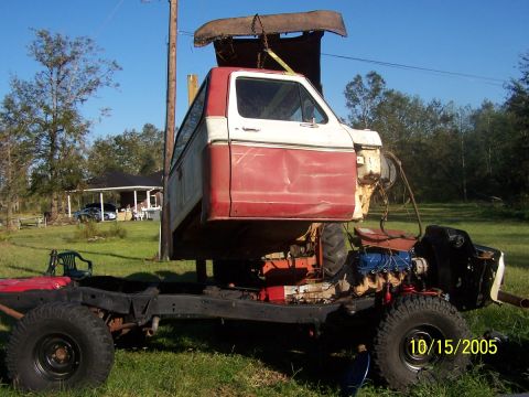 1976 Ford F-150 photo