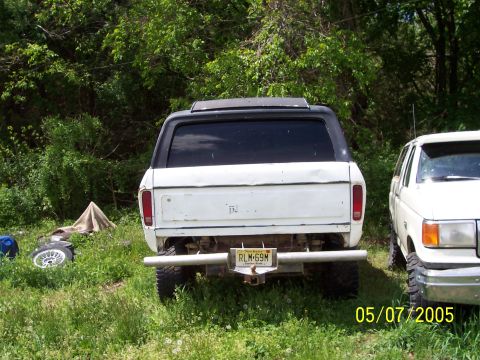 1979 Ford Bronco - Two SUVs are parked in a grassy area with trees in the background. A license plate is visible on the rear of the closest SUV.
