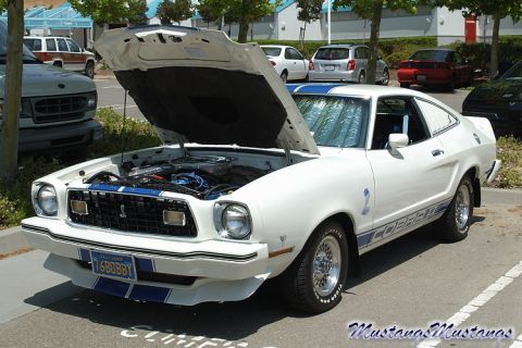 1978 Ford Mustang II - A white 1976 Ford Mustang II Cobra with blue racing stripes and its hood open is parked in a lot.