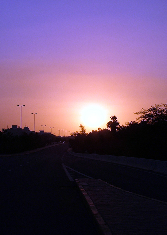 road at sunset with purple and orange sky, streetlights, and trees