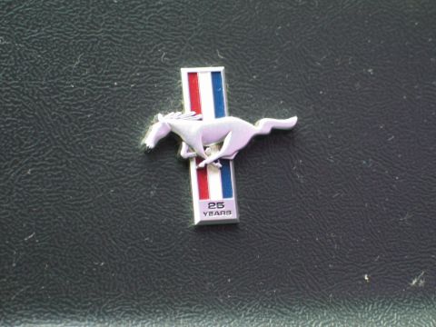 1990 Ford Mustang “Blue Stang”