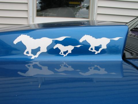 1990 Ford Mustang “Blue Stang”