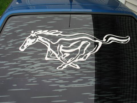 1990 Ford Mustang “Blue Stang”