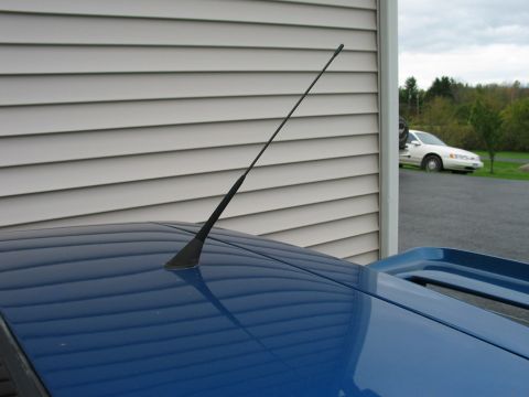 1990 Ford Mustang “Blue Stang”