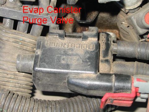 1997 Pontiac Grand Prix - The Evap Canister Purge Valve is labeled and connected to various hoses and electrical connectors.