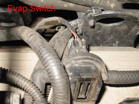 1997 Pontiac Grand Prix - Close-up view of an Evap switch and associated wiring harness.