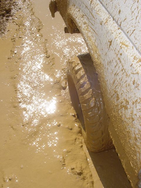 1989 Ford Bronco - Vehicle tire deep in mud, sunlight reflecting off the water.