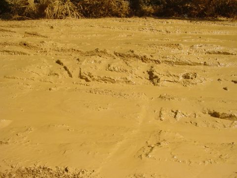 1989 Ford Bronco - The terrain is covered in thick mud with visible tire tracks, suggesting off-road activity. A watermark for Supermotors.net is present.