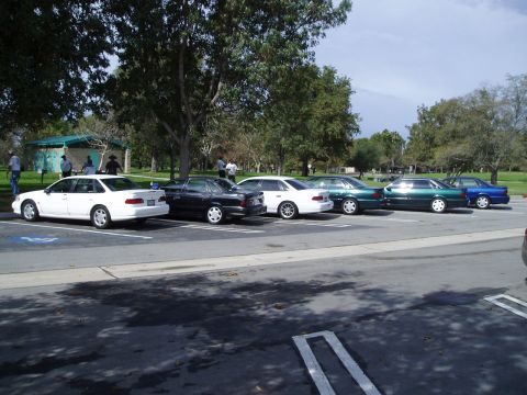 1993 Ford Taurus - A line of sedans are parked in a lot near a pavilion and trees on a sunny day.