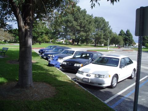 1993 Ford Taurus - A white 1993 Ford Taurus sedan is parked in a lot with other vehicles.