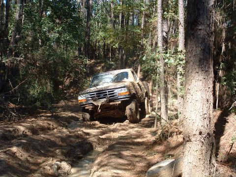 1993 Ford Bronco - A muddy 1992 Ford F-150 navigates a challenging off-road path in a wooded area.