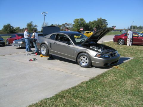 1900 Ford Mustang photo