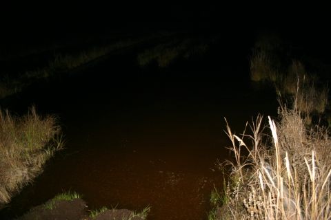 2003 Jeep TJ - Nighttime scene of dark water and vegetation along a bank.