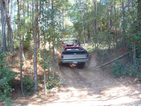 1993 Ford Bronco - A convertible pickup truck navigates a wooded trail, its rear visible as it drives uphill.
