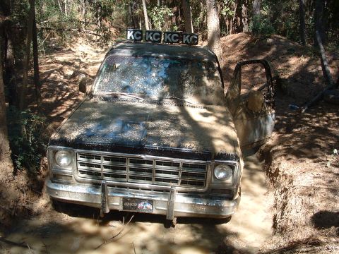 1993 Ford Bronco - This truck is covered in mud and appears to be stuck in a muddy ditch during an off-road excursion.