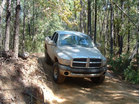 1993 Ford Bronco - A silver pickup truck navigates a wooded trail.