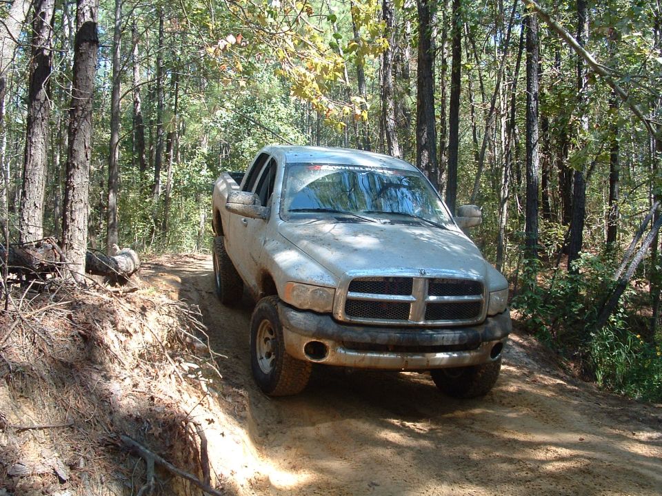 Muddy silver Dodge Ram quad cab pickup on a rutted sand trail in pine woods