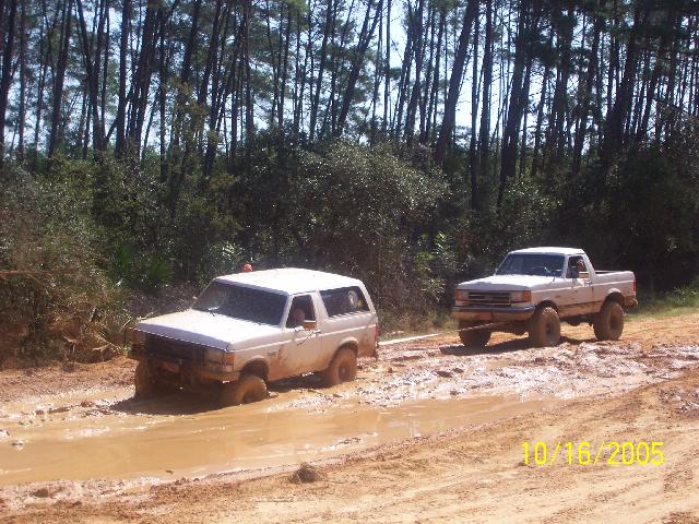 White Bronco and lifted white pickup parked in a muddy off-road clearing in pine woods