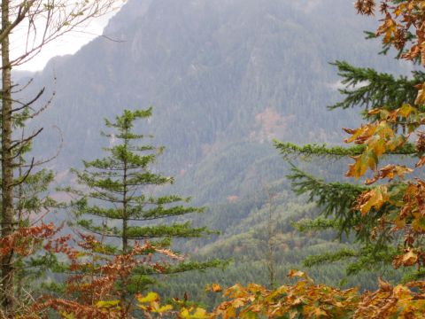 1990 Ford Bronco - A misty mountain range is visible behind a foreground of trees with autumn foliage.