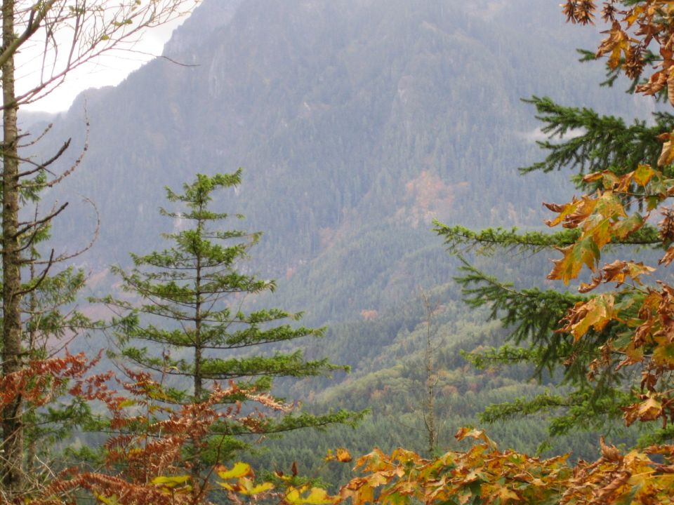 Mountain landscape with evergreen and deciduous trees in the foreground
