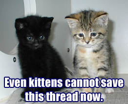 1995 Ford Bronco - This image features two kittens with text that reads 'Even kittens cannot save this thread now. www.supermotors.net'.