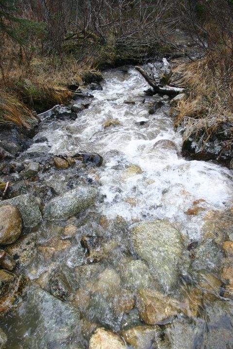 2003 Jeep TJ - A fast-flowing stream tumbles over rocks in a wooded area with dry grass and ice formations.