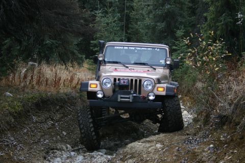 2003 Jeep TJ - A tan Jeep TJ navigates a challenging, off-road trail surrounded by dense forest and dry brush.