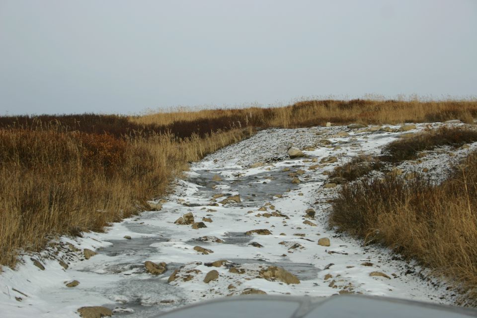 icy, rocky dirt road with dry grass and overcast sky