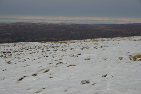 2003 Jeep TJ - A winter scene with snow-covered ground and a vast, hazy horizon under a cloudy sky.