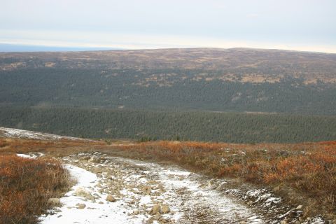 2003 Jeep TJ - A scenic view of a mountain landscape with a path covered in snow and autumn foliage.
