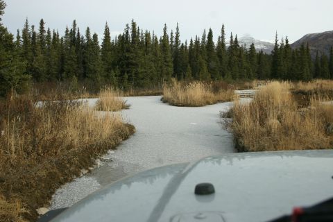2003 Jeep TJ - A Jeep drives through a wintery landscape with frozen water and tall dry grass.