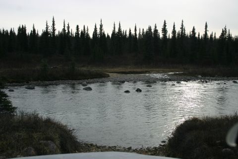 2003 Jeep TJ - A wide river flows through a rocky landscape, bordered by a dense forest under an overcast sky.