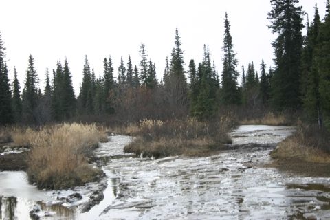2003 Jeep TJ - A frozen creek bed winds through a landscape of dry grass and evergreen trees, suggesting a cold, possibly late autumn or early spring scen…