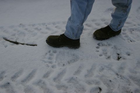 2003 Jeep TJ - Tire tracks and paw prints mark the snow where a person is walking.