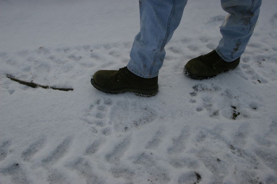 Person wearing jeans and dark boots walks in snow with tire tracks and animal paw prints visible