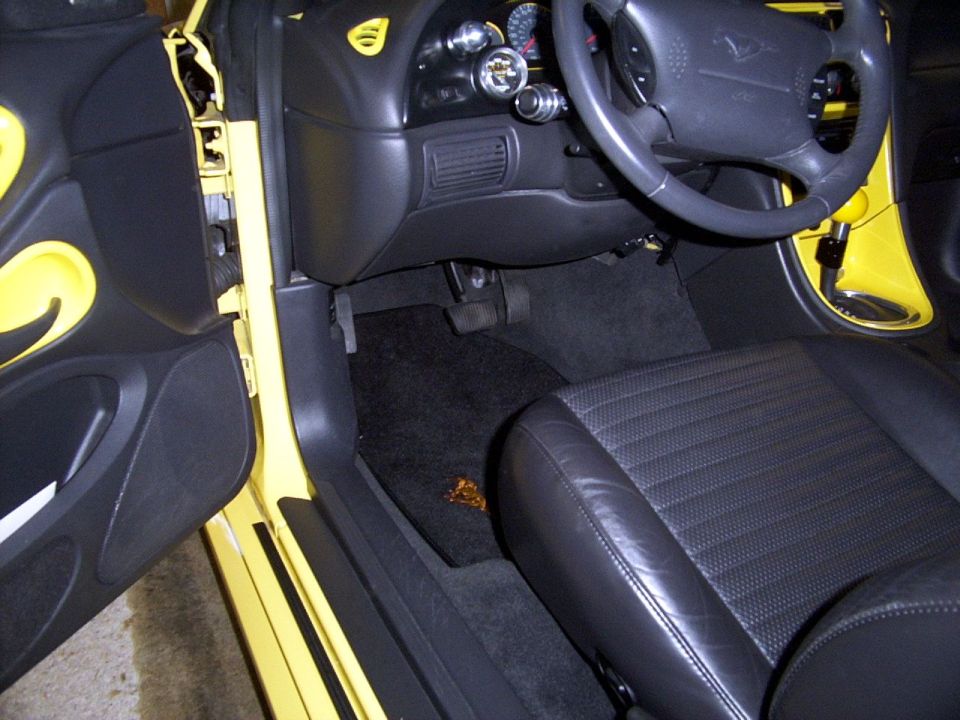 New Floormats with Ponys