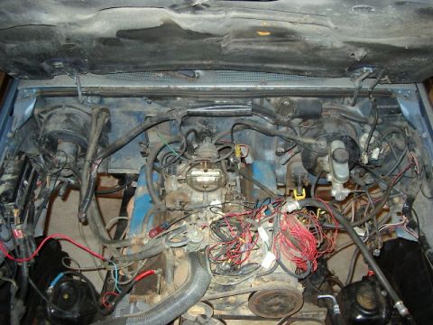 1985 Ford Bronco photo